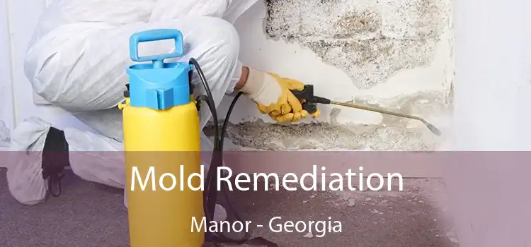 Mold Remediation Manor - Georgia