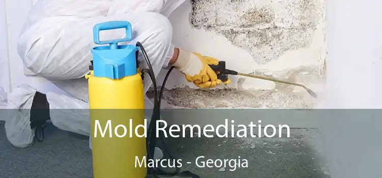 Mold Remediation Marcus - Georgia