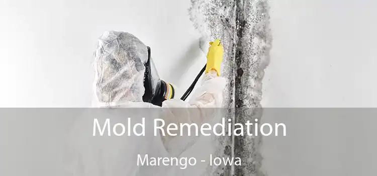 Mold Remediation Marengo - Iowa