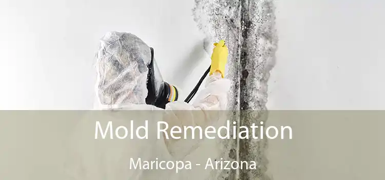 Mold Remediation Maricopa - Arizona