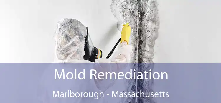 Mold Remediation Marlborough - Massachusetts