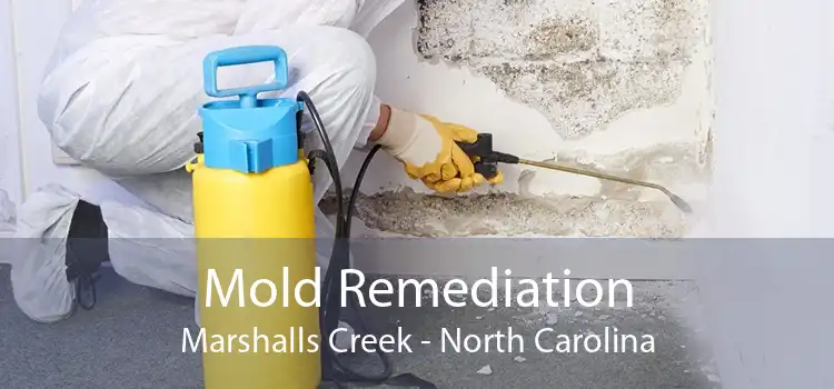 Mold Remediation Marshalls Creek - North Carolina