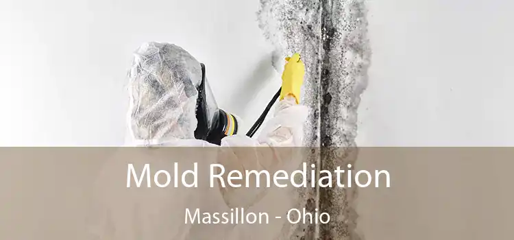 Mold Remediation Massillon - Ohio