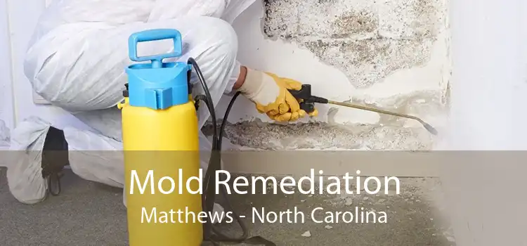 Mold Remediation Matthews - North Carolina