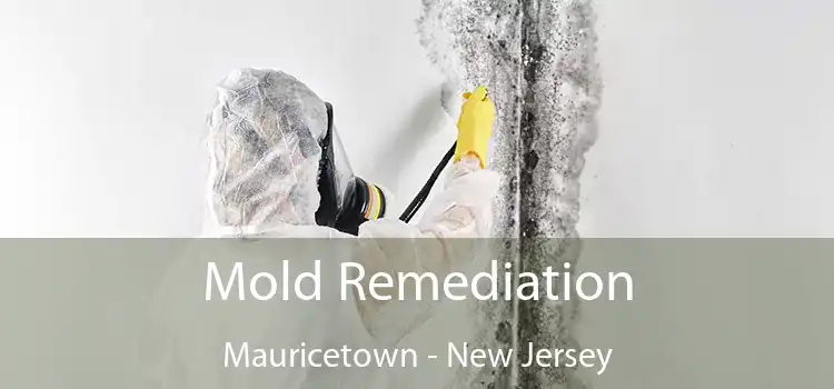 Mold Remediation Mauricetown - New Jersey