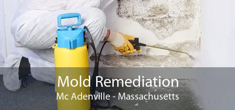 Mold Remediation Mc Adenville - Massachusetts