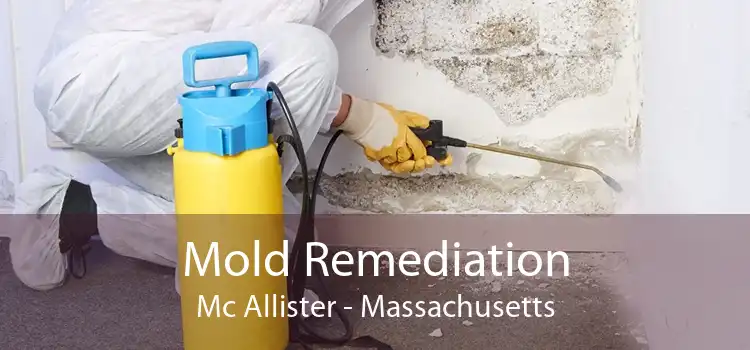 Mold Remediation Mc Allister - Massachusetts
