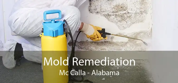 Mold Remediation Mc Calla - Alabama