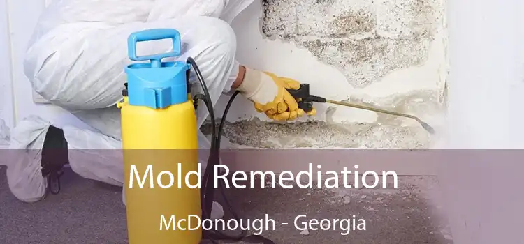 Mold Remediation McDonough - Georgia