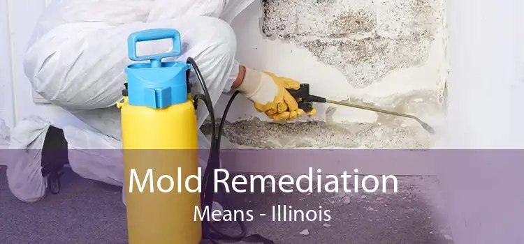 Mold Remediation Means - Illinois