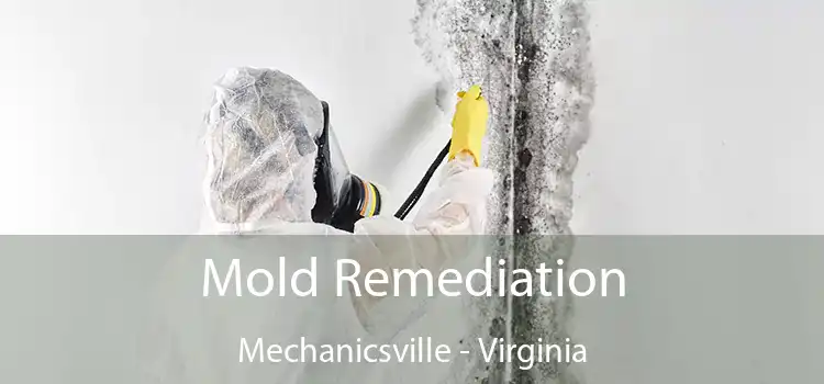 Mold Remediation Mechanicsville - Virginia