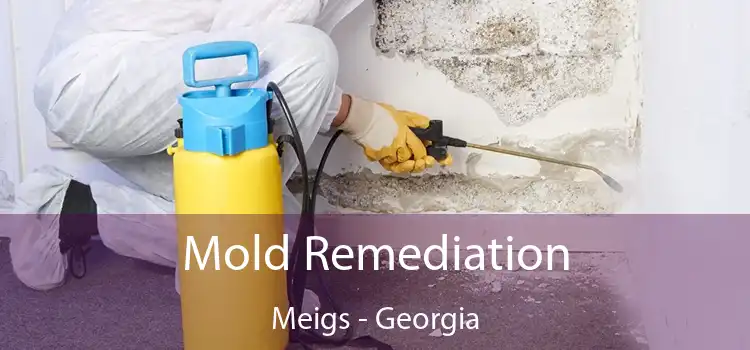 Mold Remediation Meigs - Georgia