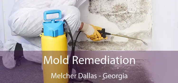 Mold Remediation Melcher Dallas - Georgia