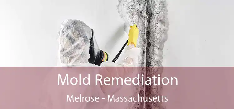 Mold Remediation Melrose - Massachusetts