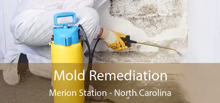 Mold Remediation Merion Station - North Carolina