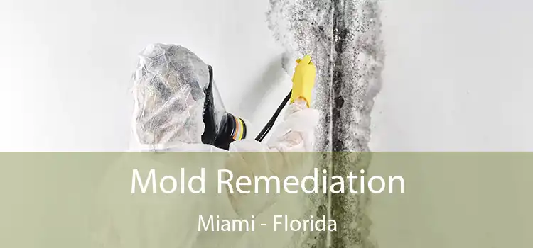 Mold Remediation Miami - Florida