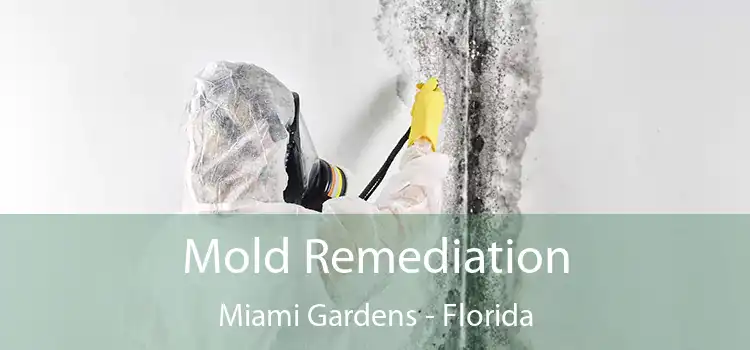 Mold Remediation Miami Gardens - Florida