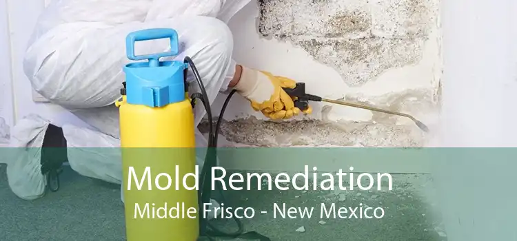 Mold Remediation Middle Frisco - New Mexico