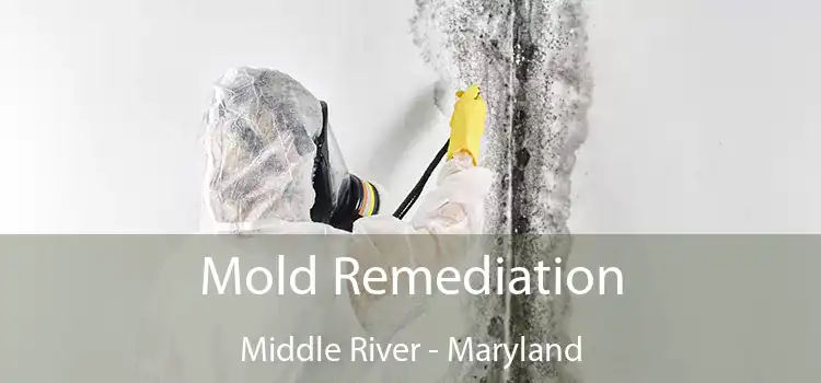 Mold Remediation Middle River - Maryland