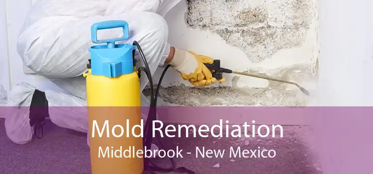 Mold Remediation Middlebrook - New Mexico