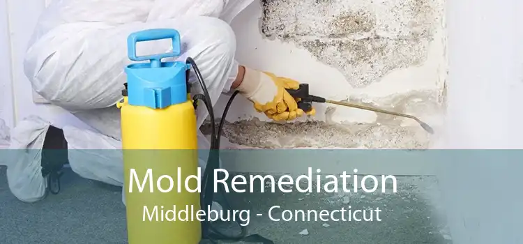 Mold Remediation Middleburg - Connecticut