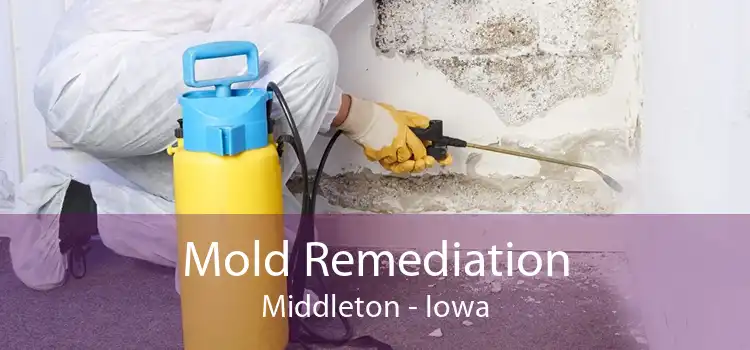 Mold Remediation Middleton - Iowa