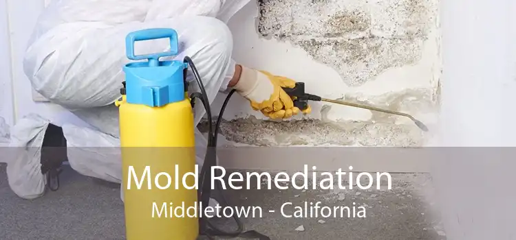 Mold Remediation Middletown - California