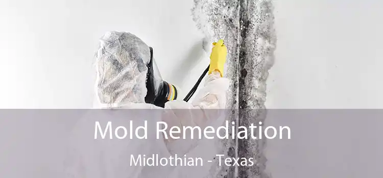 Mold Remediation Midlothian - Texas