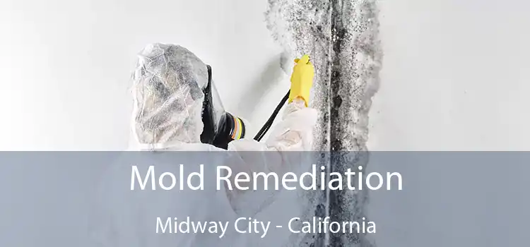 Mold Remediation Midway City - California