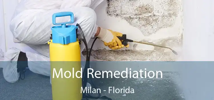 Mold Remediation Milan - Florida