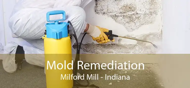 Mold Remediation Milford Mill - Indiana