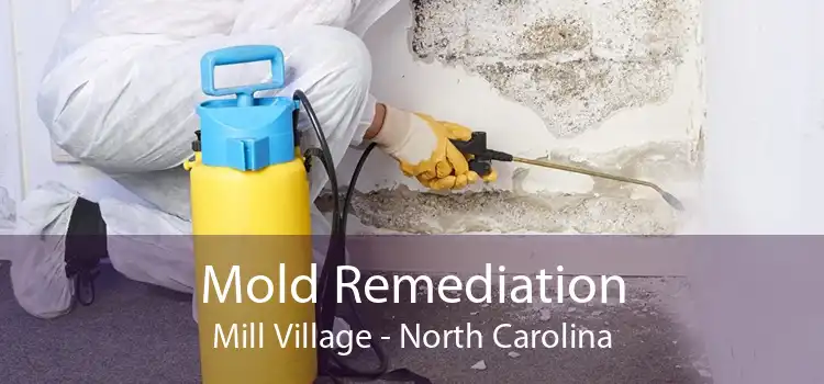 Mold Remediation Mill Village - North Carolina