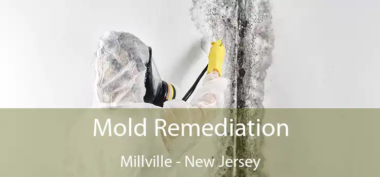 Mold Remediation Millville - New Jersey