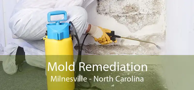 Mold Remediation Milnesville - North Carolina