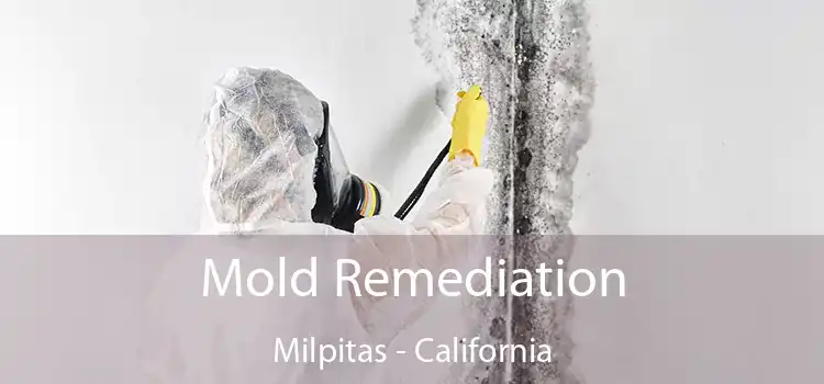 Mold Remediation Milpitas - California