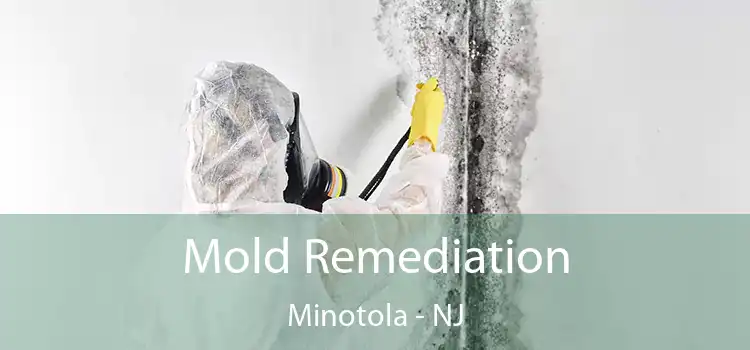 Mold Remediation Minotola - NJ