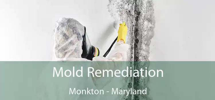 Mold Remediation Monkton - Maryland