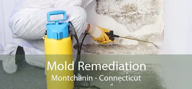 Mold Remediation Montchanin - Connecticut