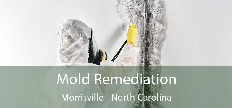 Mold Remediation Morrisville - North Carolina