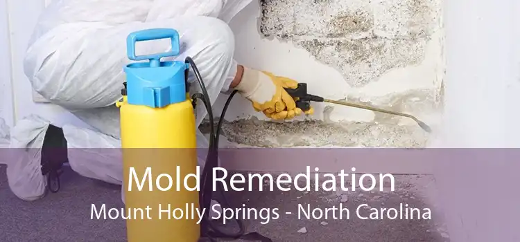 Mold Remediation Mount Holly Springs - North Carolina