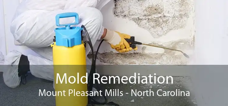 Mold Remediation Mount Pleasant Mills - North Carolina
