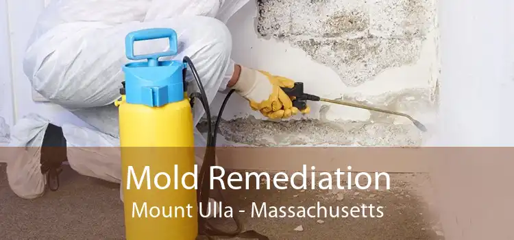 Mold Remediation Mount Ulla - Massachusetts