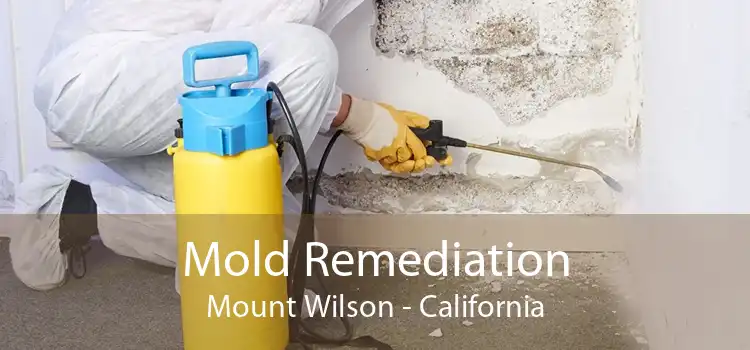 Mold Remediation Mount Wilson - California