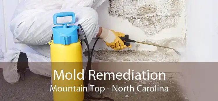 Mold Remediation Mountain Top - North Carolina