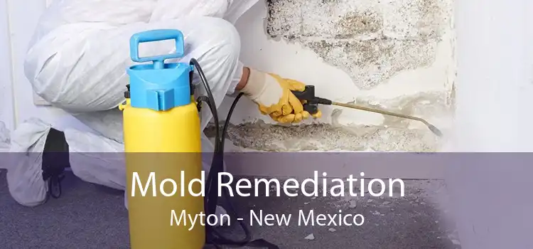 Mold Remediation Myton - New Mexico