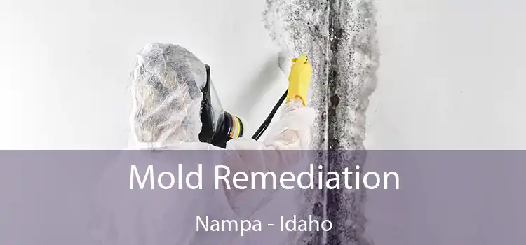 Mold Remediation Nampa - Idaho