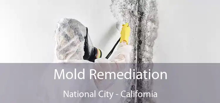 Mold Remediation National City - California