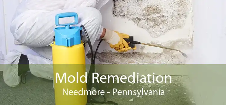 Mold Remediation Needmore - Pennsylvania