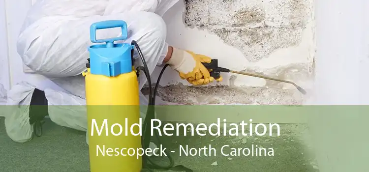 Mold Remediation Nescopeck - North Carolina