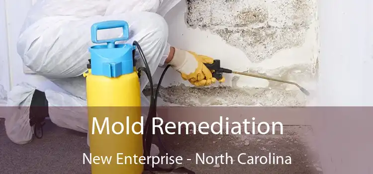 Mold Remediation New Enterprise - North Carolina